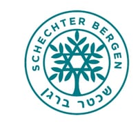 Solomon Shechter school logo