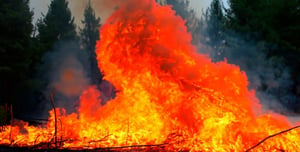 Huge fires in Greece: 18 people were killed in the forests
