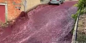 Watch: A river of wine was created in Portugal as a result of an accident in a winery