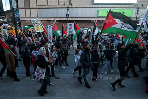 Increasingly supported by younger Americans, who are souring on Jews and Israel. Pro-Palestinian protest, 2022.