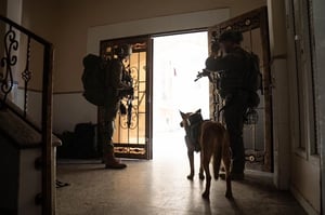 Searching for terrorists with man's best friend.