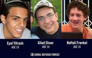 IDF: Mastermind behind the 2014 kidnapping of three youths captured in Shifa raid