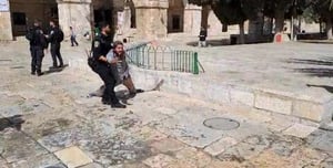 Jewish youth arrested on Temple Mount