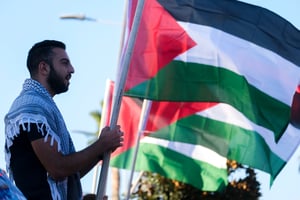 Pro-Palestinian protestor