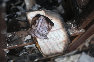 Following Le Pen's victory, the Koran-burner in Sweden plans to burn another one