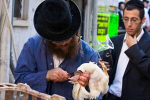 Ritual slaughtering of a chicken