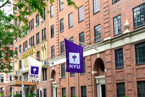 New York University