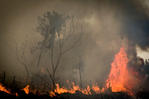 Wildfires following a missile attack, Galilee 