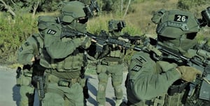 IDF forces arrest terrorist