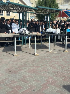 Funeral of the 5 Breslov Hasidim who died in car accident in Morocco