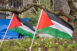 Pro Palestinian flags