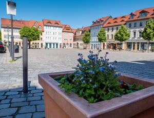 Anti-Semitic act: Pig’s head found at Holocaust memorial site