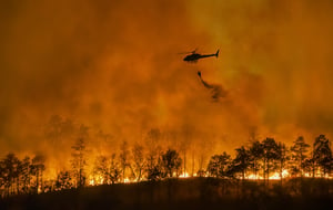 California Ablaze: Record-breaking windstorm triggers wildfire chaos 