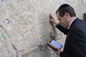 President Herzog at the Western Wall.