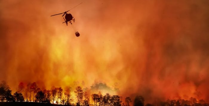 Huge fires on the France-Spain border: thousands were evacuated from the area