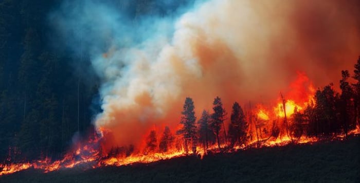 1000 fires in Canada, a state of emergency was declared in the north