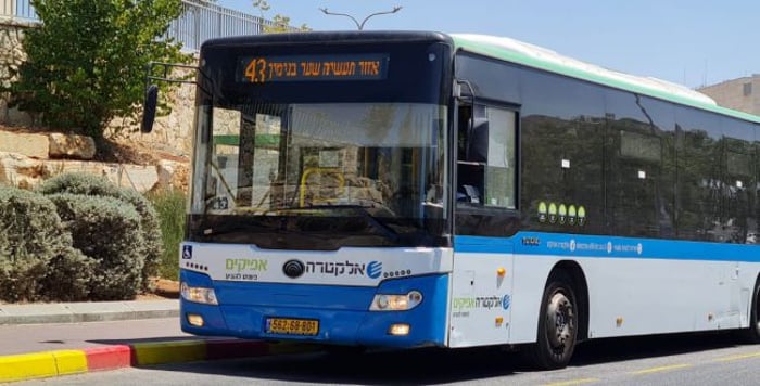 On Wednesday: bus strike in Judea and Samaria