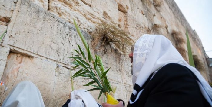 Sukkot at the Western Wall: This year there will be two classes of the traditional Priestly Blessing