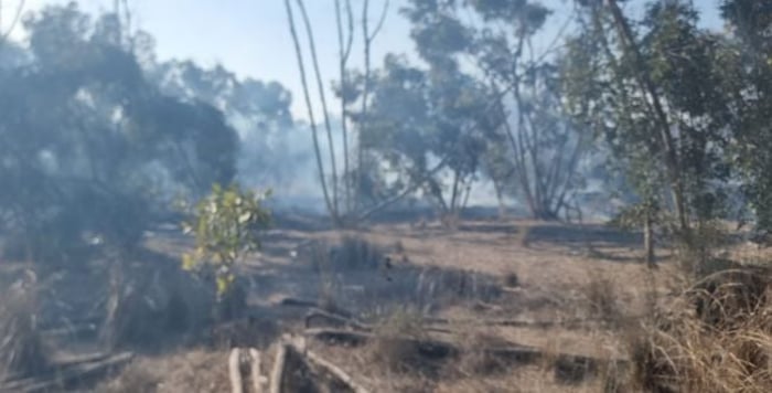 Suspected arson from an incendiary balloon: a fire broke out in the Be'eri Forest