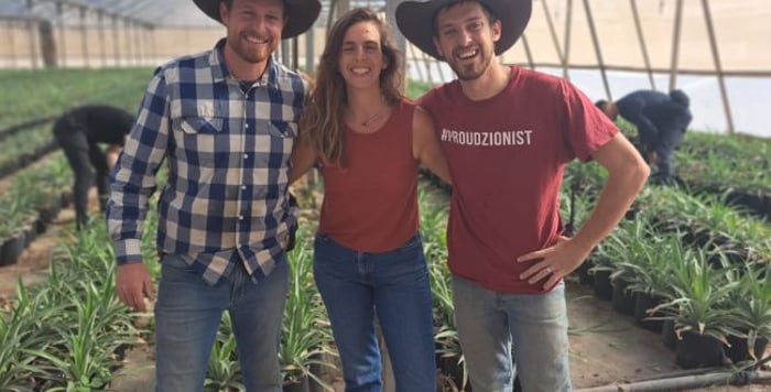 Cowboys helping fellow farmers.