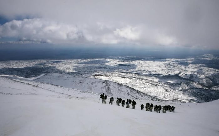 From the activities of IDF forces on the northern border