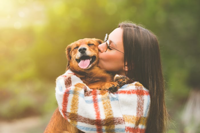 Dogs beautiful relationship with Humans