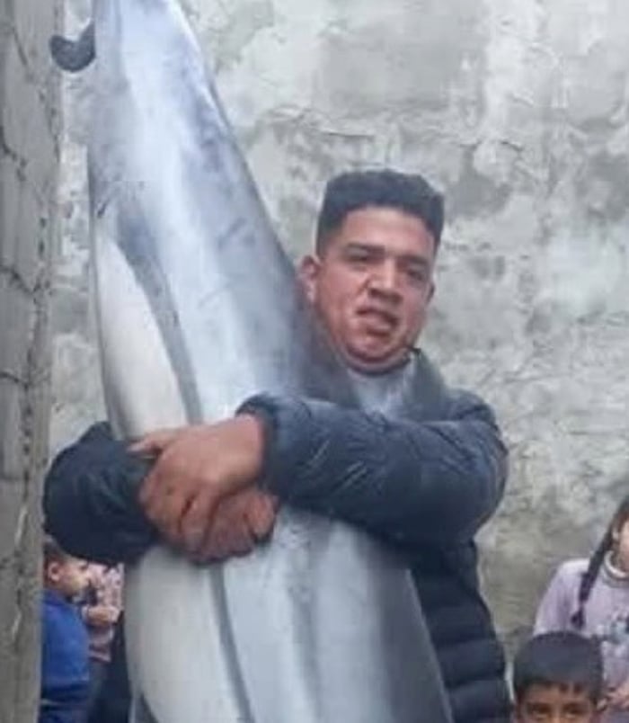 Gaza man catches a dolphin