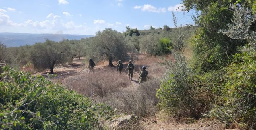 IDF soldiers in the plantations