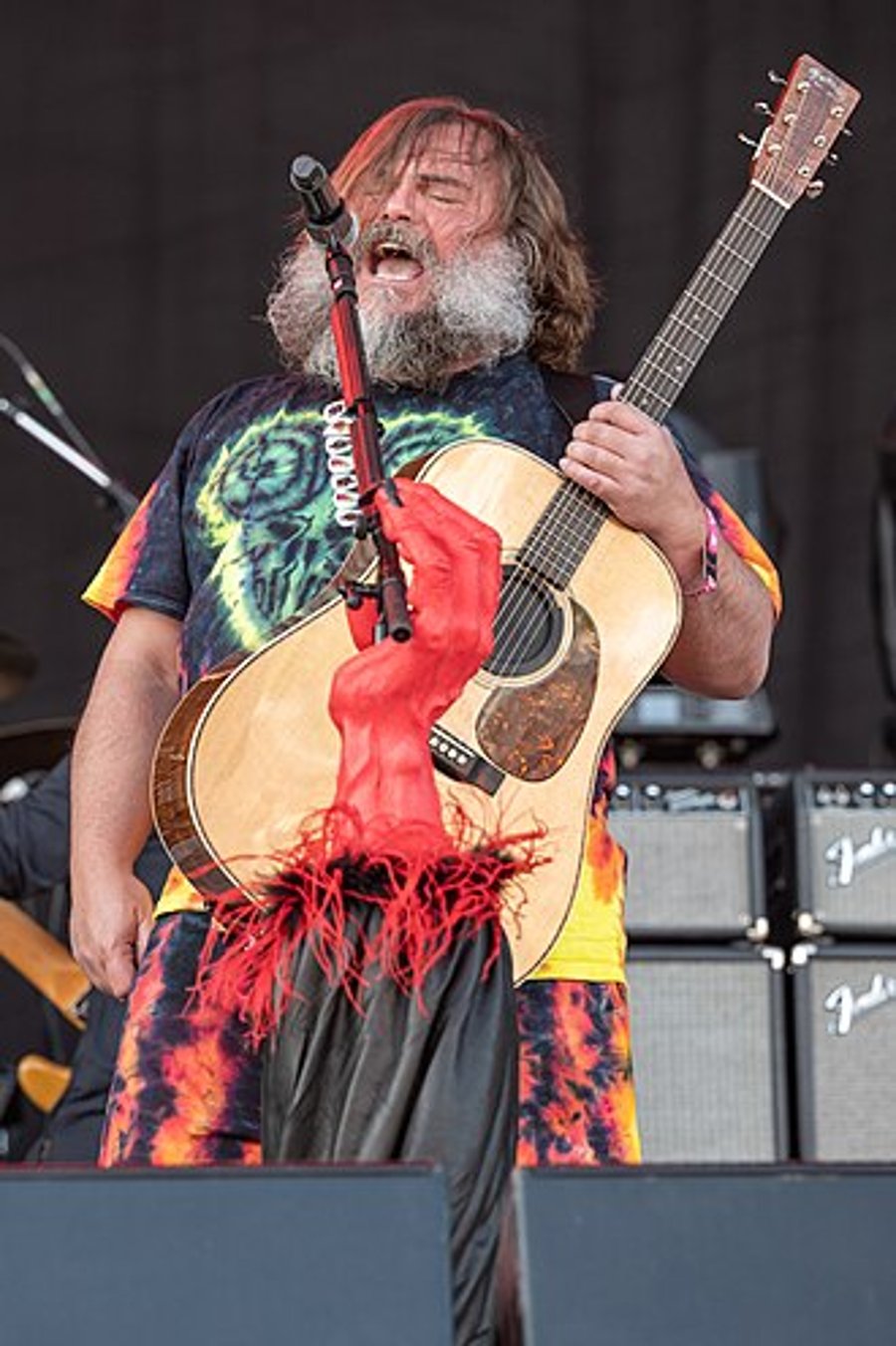 Jack Black performing with Tenacious D.