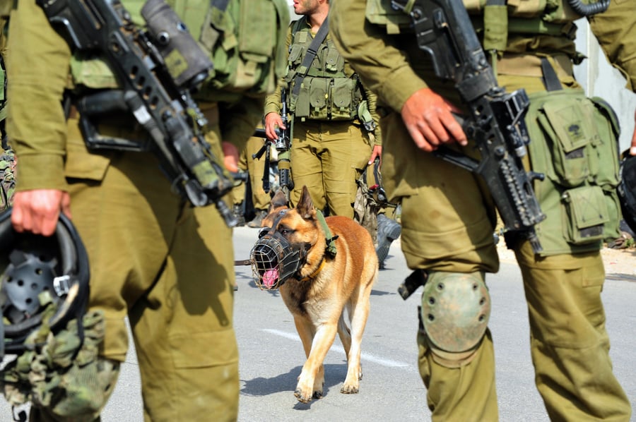 IDF's Oketz dog unit