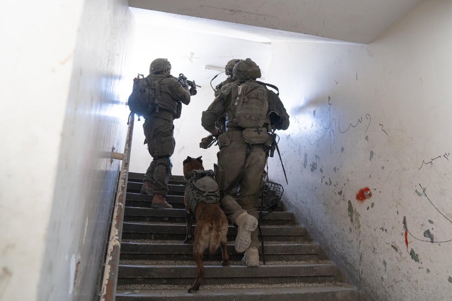 Hunting Hamas terrorists with man's best friend.