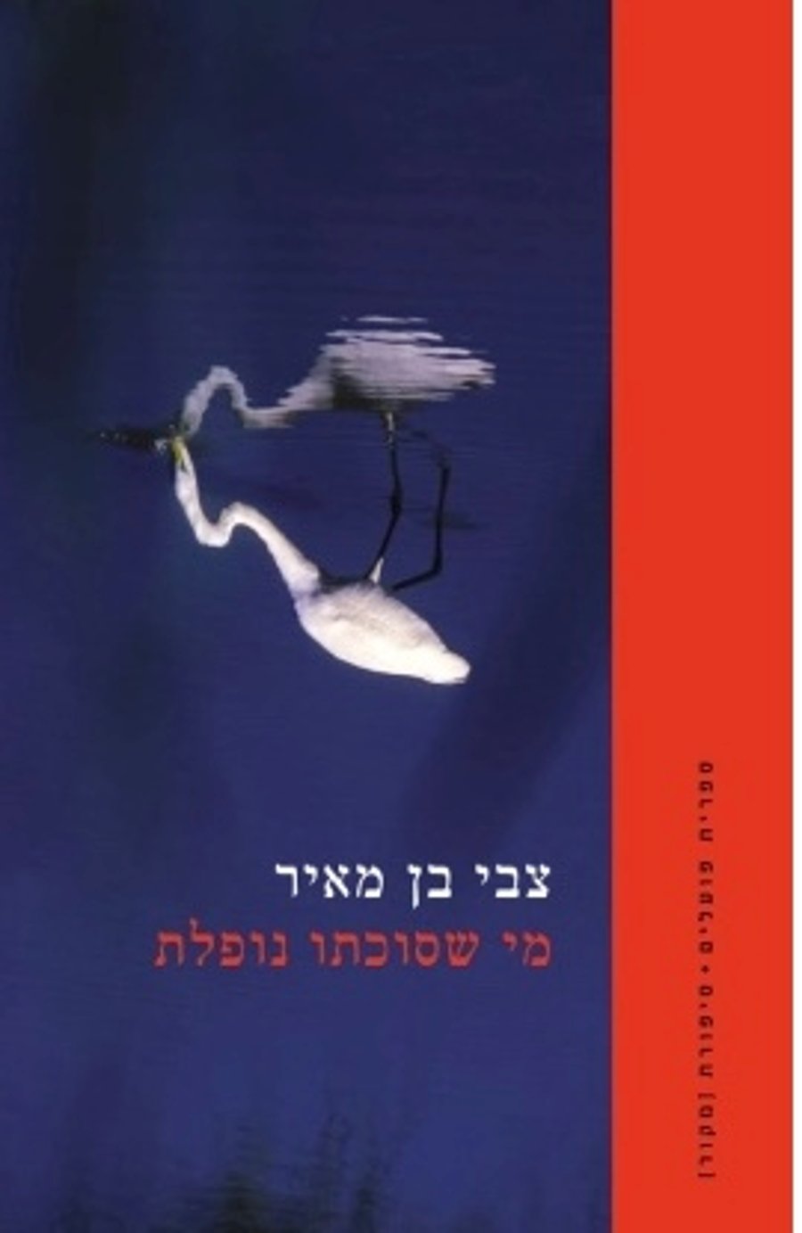 Cover of Zvi Ben Meir's Book