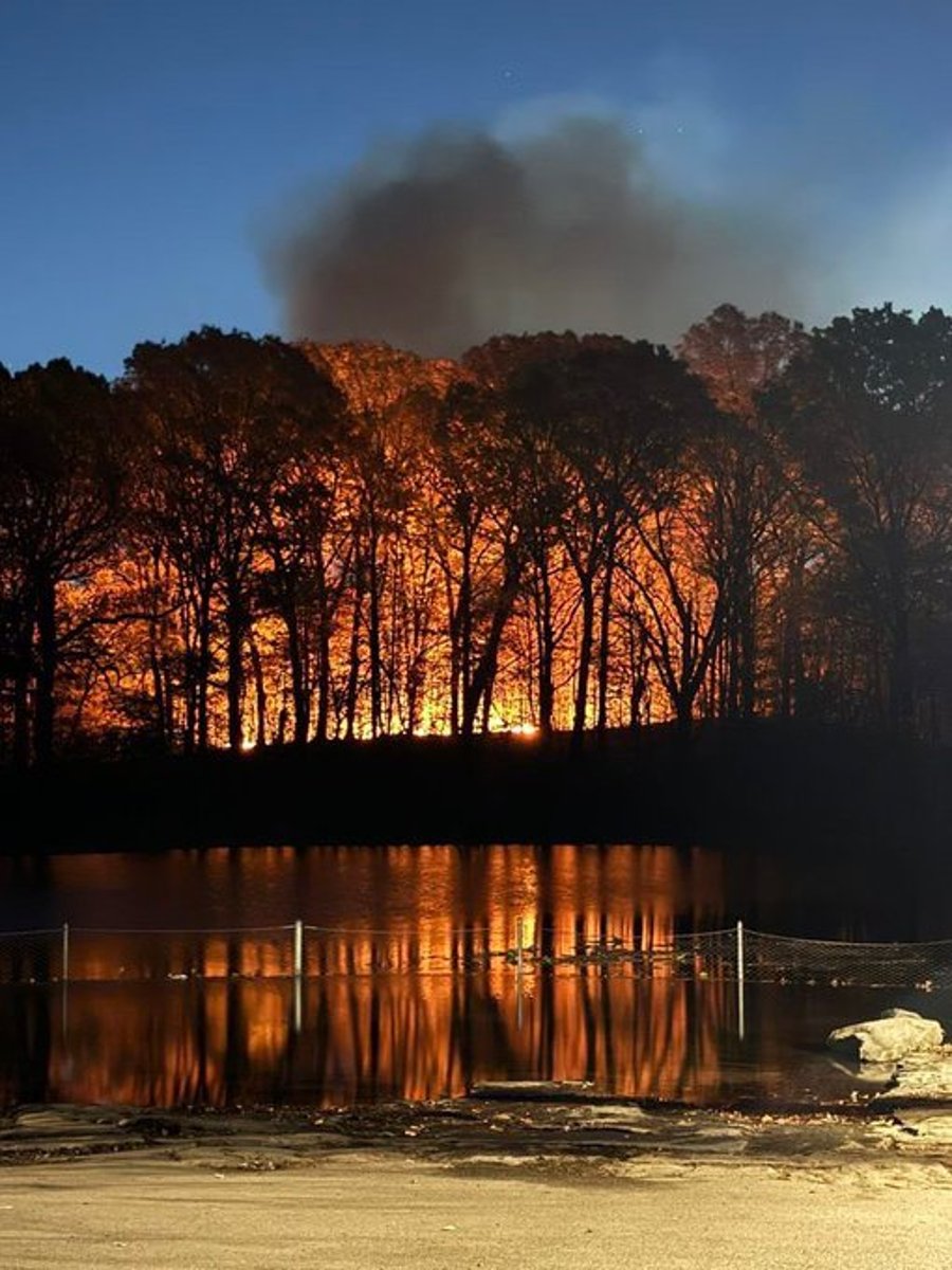 Brush fire in Prospect Park, Brooklyn