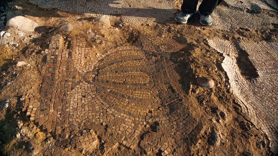 Mosaic unearthed near Kiryat Gat