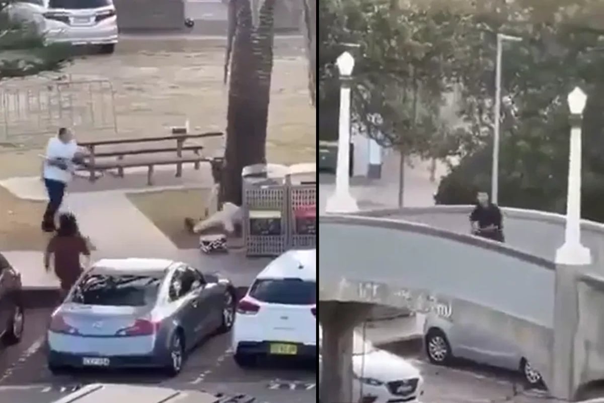 Chabad Student Begged Wounded Cop for Gun in Sydney Terror Attack: 'Give It to Me or We'll Both Die'