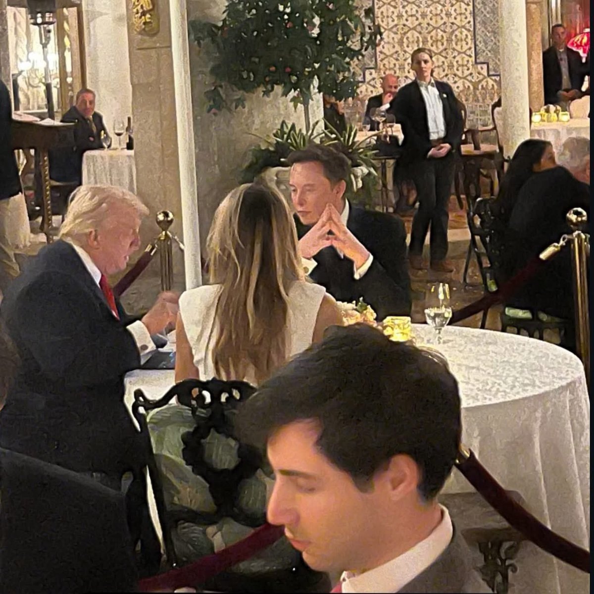The photo Elon shared on Twitter.