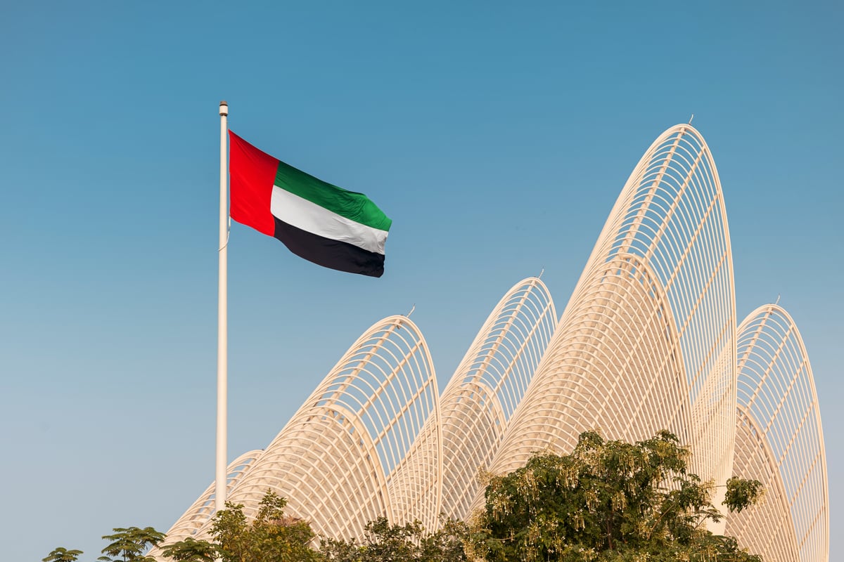 UAE flag