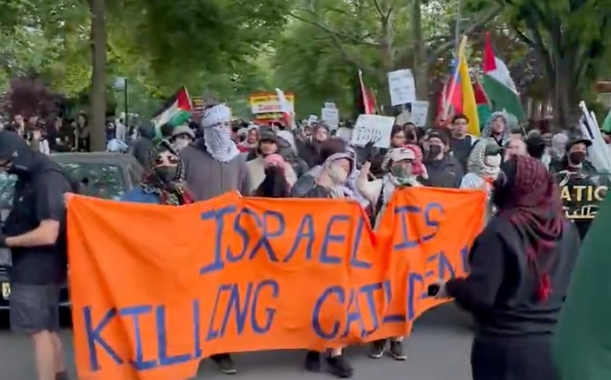 The protestors in Brooklyn.