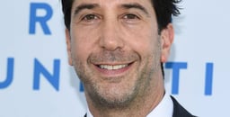 David Schwimmer