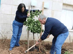 Commander Arnon Zmora z'l parents planting a tree in his honor