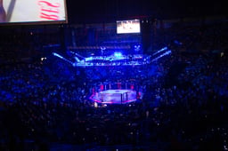 Illustrative: UFC