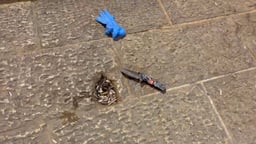 Knife used in stabbing attack.