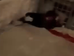 The slain terrorist.