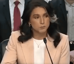 Tulsi Gabbard.