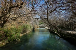 View of springs in Banias Nature Reserve in Northern Israel