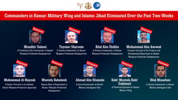 Infographic of eliminated terrorists.
