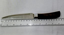  The knife