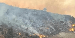 Cyprus Wildfires