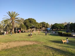 Kibbutz Sufa