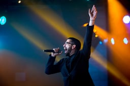 Hanan Ben Ari